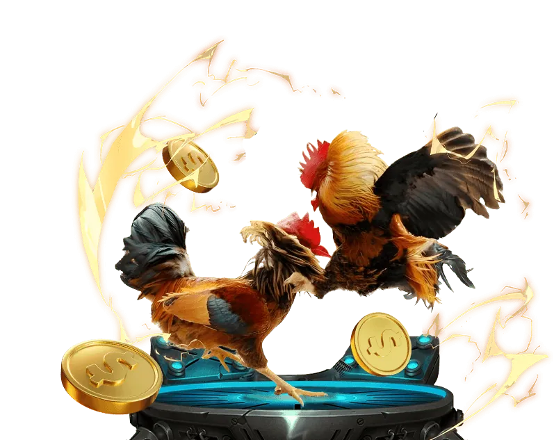 Lịch sử phát triển Đá Gà Thomo 2026